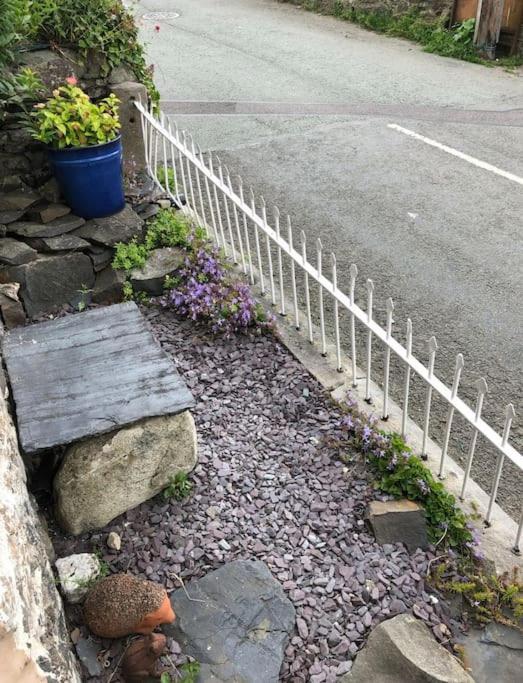 Annie'S Cottage Llanrhaeadr-ym-Mochnant Exterior foto